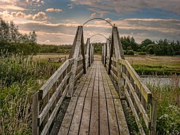 IMGP6089-1_Soenderby Spang Borris